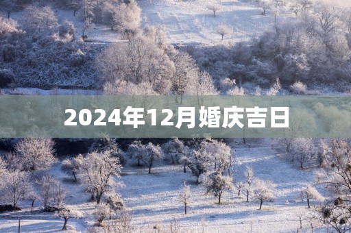 2025年12月婚庆吉日
