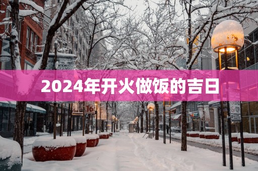 2025年开火做饭的吉日