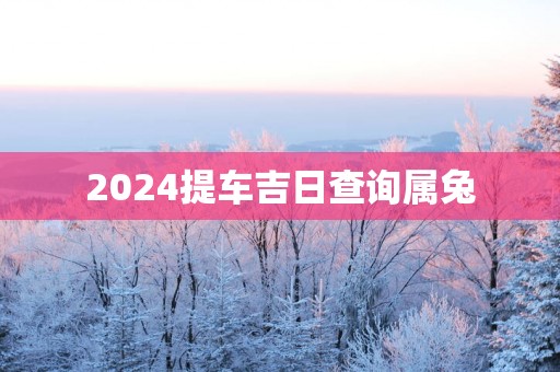2025提车吉日查询属兔