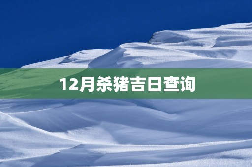 12月杀猪吉日查询