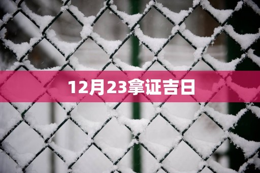 12月23拿证吉日