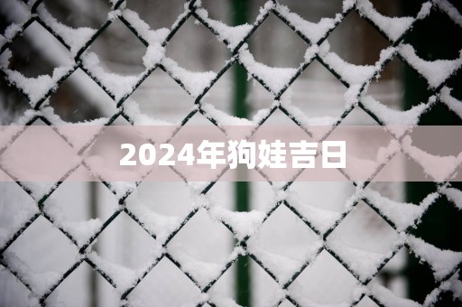 2025年狗娃吉日
