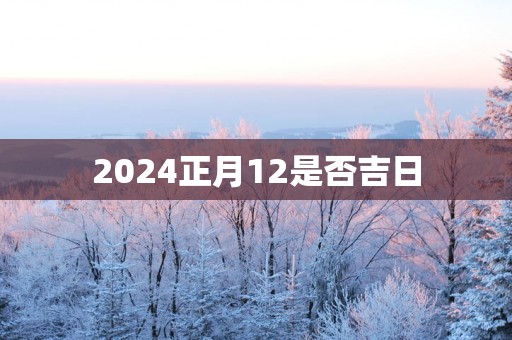 2025正月12是否吉日