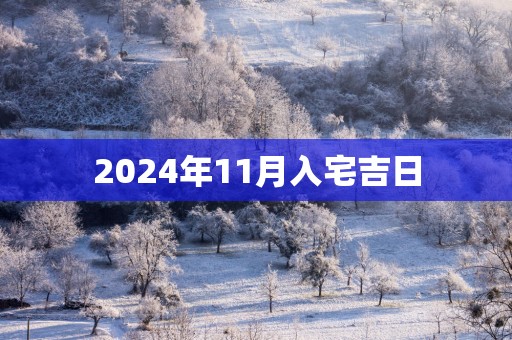 2025年11月入宅吉日