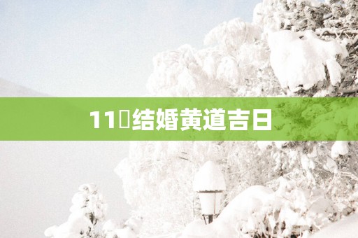 11冃结婚黄道吉日
