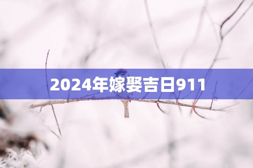 2025年嫁娶吉日911