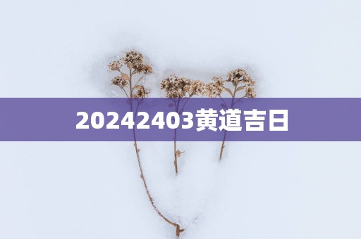 20252403黄道吉日