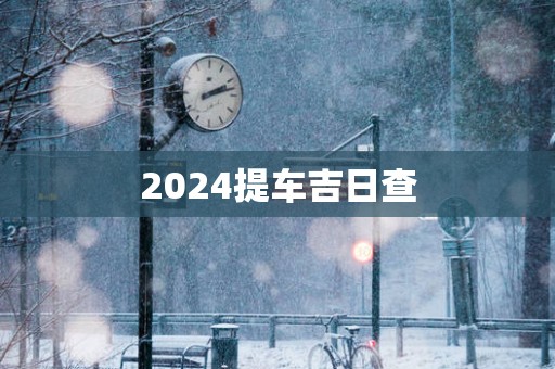2025提车吉日查
