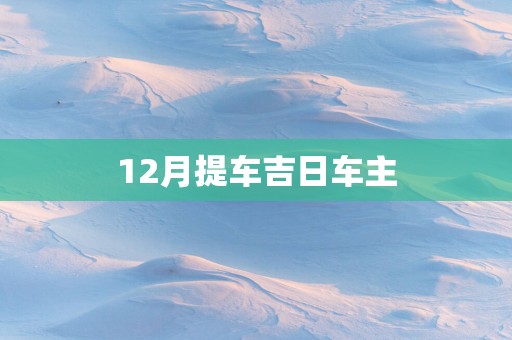 12月提车吉日车主
