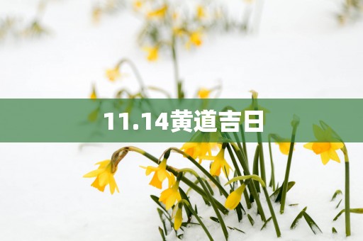 11.14黄道吉日
