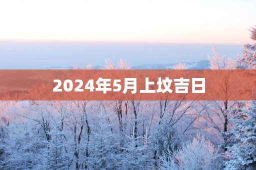 2025年5月上坟吉日