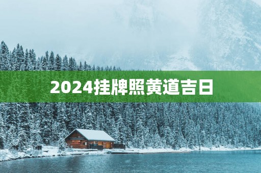 2025挂牌照黄道吉日