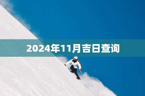 2025年11月吉日查询