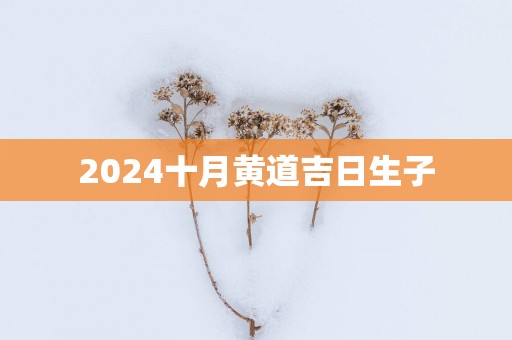 2025十月黄道吉日生子