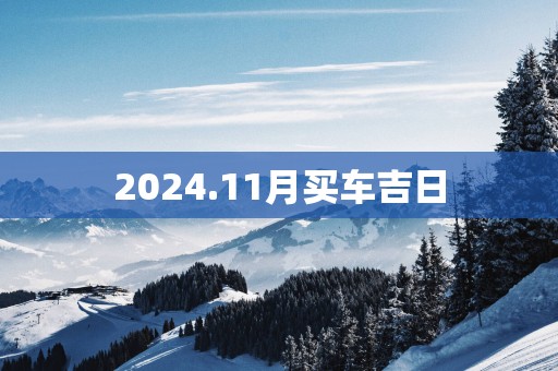 2025.11月买车吉日