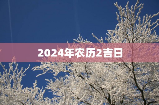 2025年农历2吉日