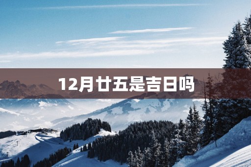 12月廿五是吉日吗