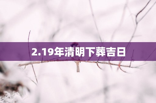 2.19年清明下葬吉日