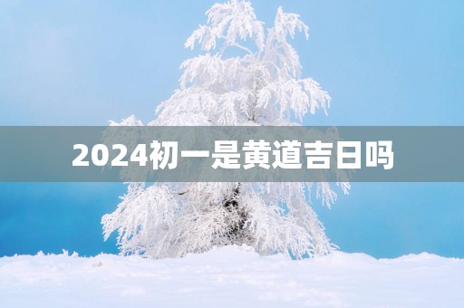 2025初一是黄道吉日吗