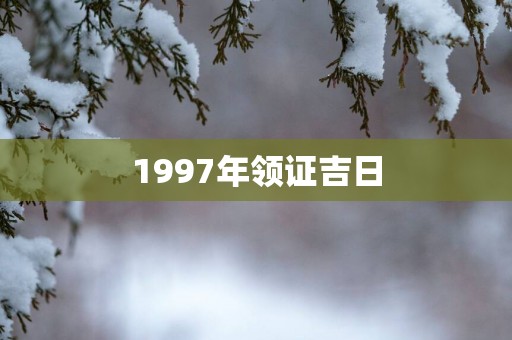 1997年领证吉日