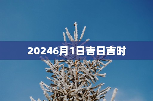 20256月1日吉日吉时
