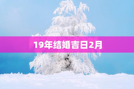 19年结婚吉日2月