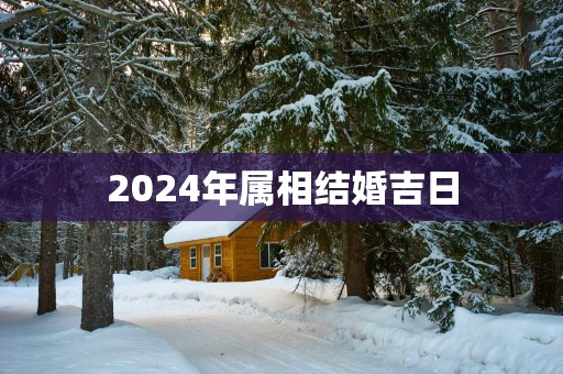 2025年属相结婚吉日