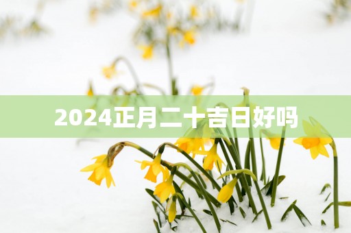 2026正月二十吉日好吗