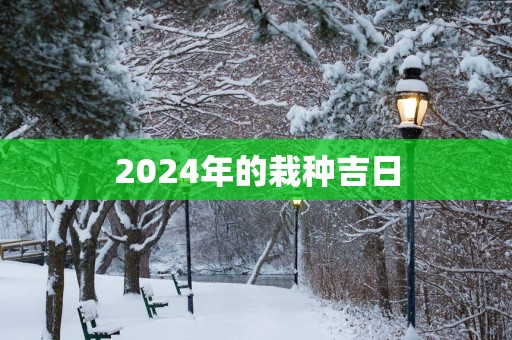 2025年的栽种吉日