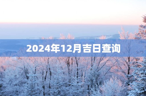 2025年12月吉日查询