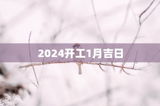 2025开工1月吉日