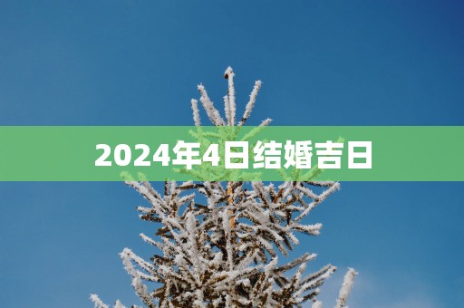 2025年4日结婚吉日