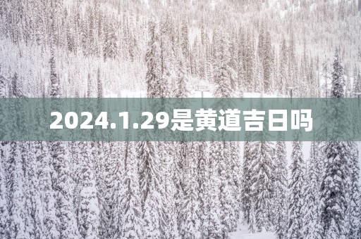 2025.1.29是黄道吉日吗