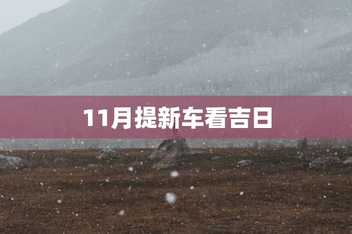 11月提新车看吉日