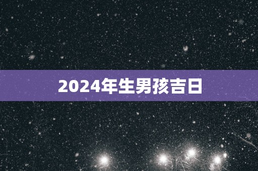 2025年生男孩吉日
