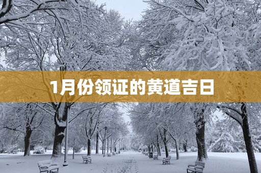 1月份领证的黄道吉日