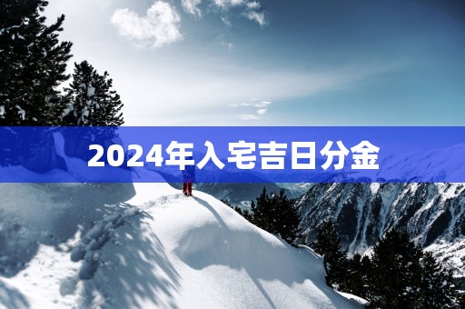 2025年入宅吉日分金
