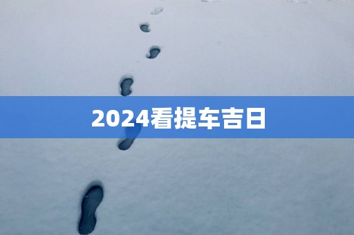 2025看提车吉日