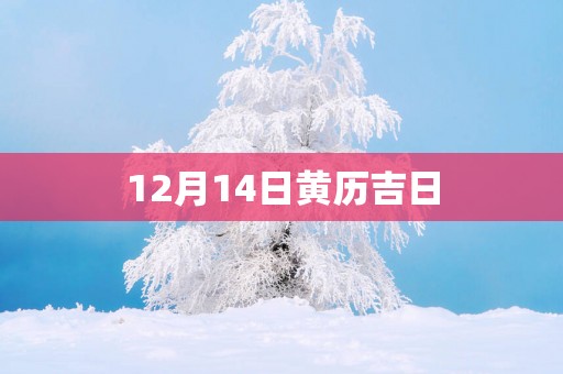 12月14日黄历吉日