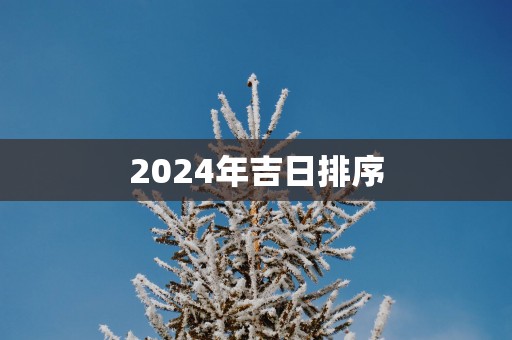2025年吉日排序