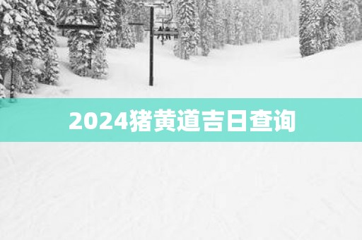 2025猪黄道吉日查询
