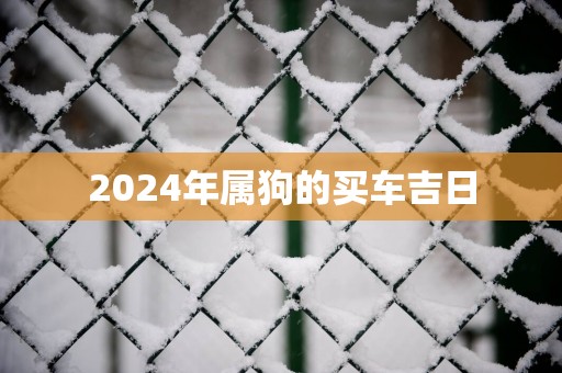 2025年属狗的买车吉日