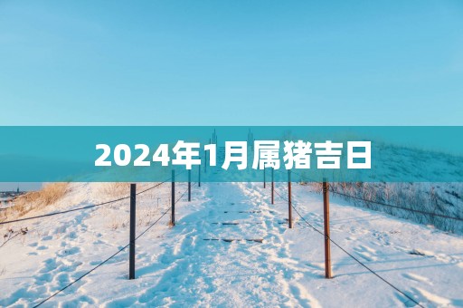 2025年1月属猪吉日