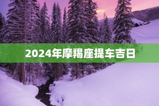 2025年摩羯座提车吉日