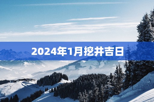 2025年1月挖井吉日