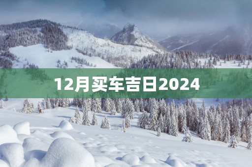 12月买车吉日2025
