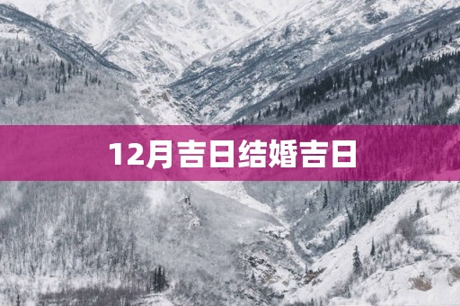 12月吉日结婚吉日