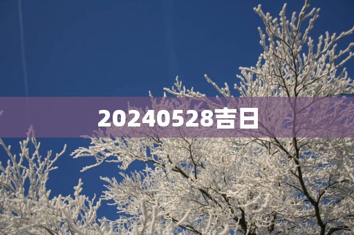 20250528吉日