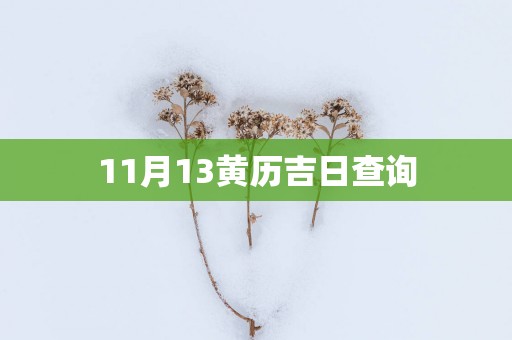 11月13黄历吉日查询