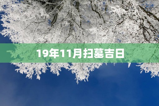 19年11月扫墓吉日